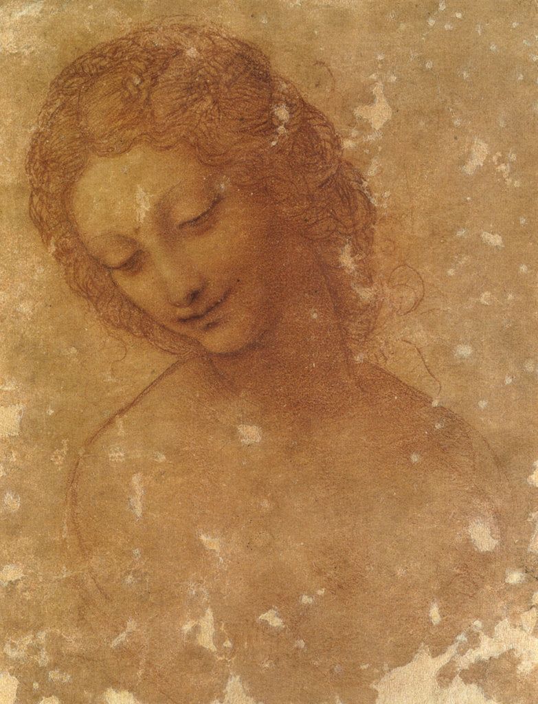 Detail of Head of Leda, c. 1510 by Anonymous
