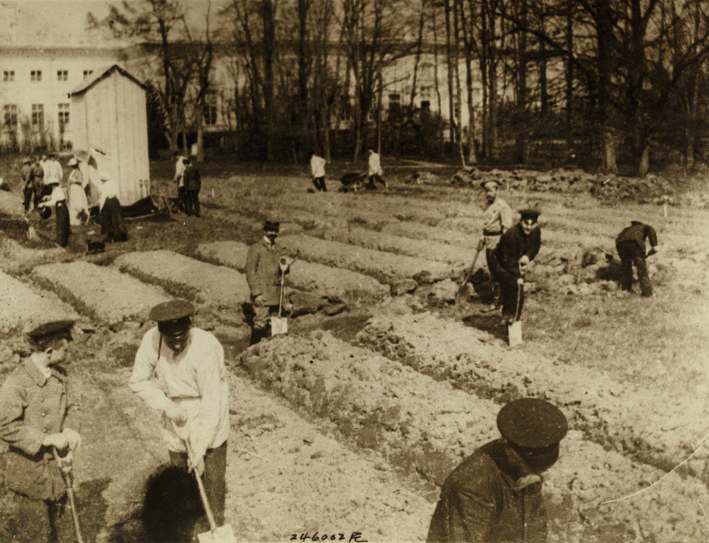 Detail of Tsar Nicholas II and family gardening at Alexander Palace during internment at Tsarskoye Selo, 1917, by Anonymous