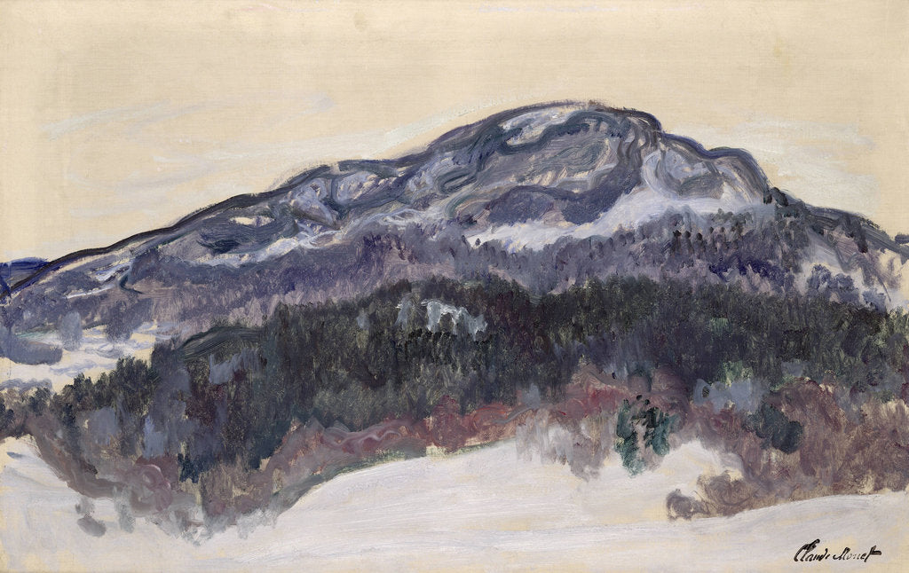 Detail of Mount Kolsaas, 1895 by Anonymous