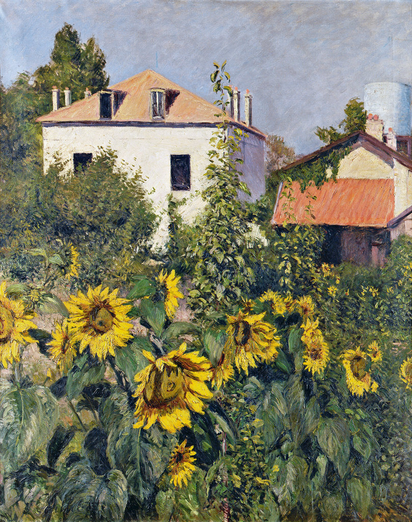 Detail of Sunflowers, Garden at Petit Gennevilliers, ca 1885 by Anonymous