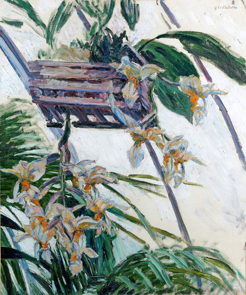 Detail of Orchids, 1893 by Anonymous