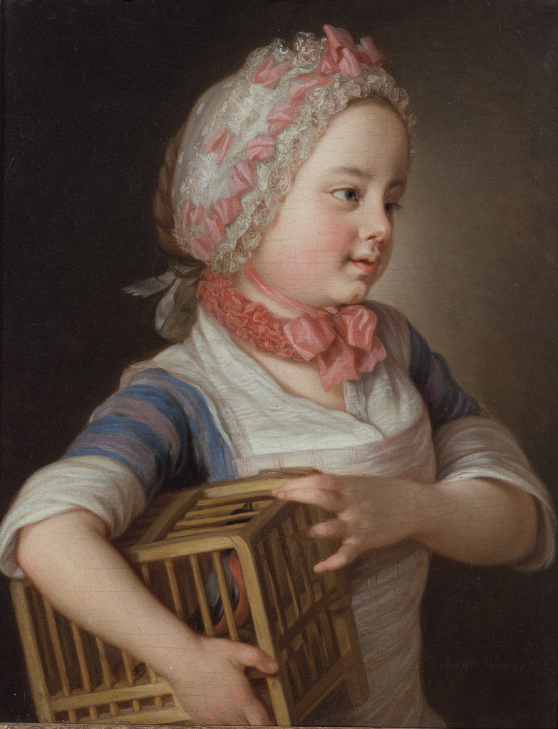 Detail of Girl with Bullfinch in a Cage, 1766 by Anonymous