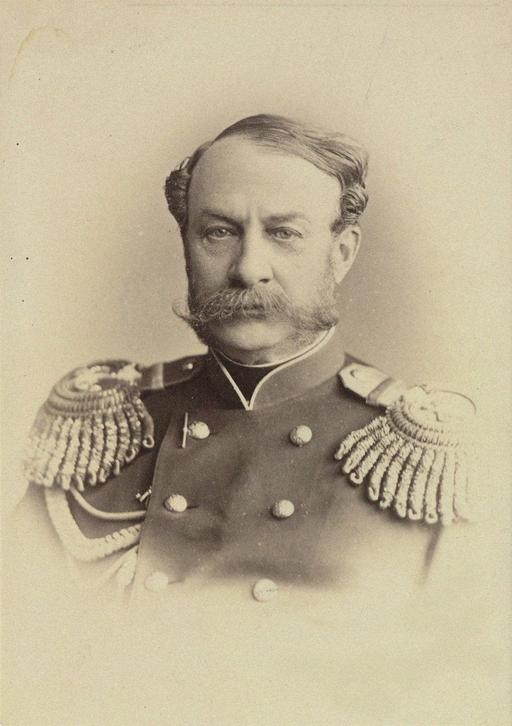 Detail of Portrait of General Alexander Egorovich Timashev, 1874 by Anonymous