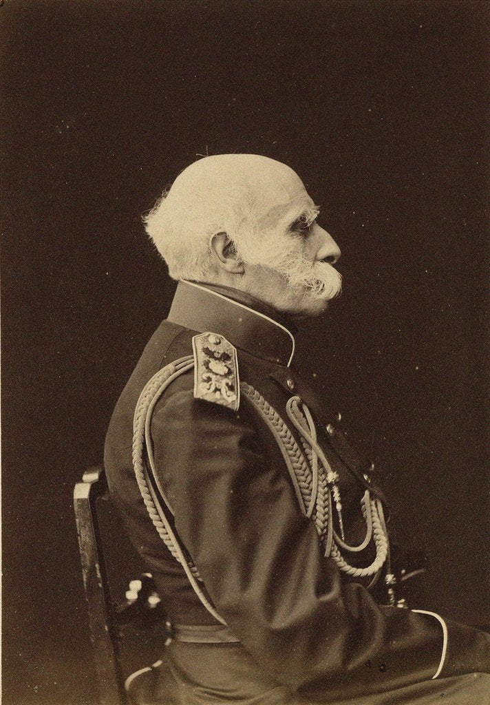Detail of Portrait of Count Fyodor Petrovich Litke, 1874 by Anonymous