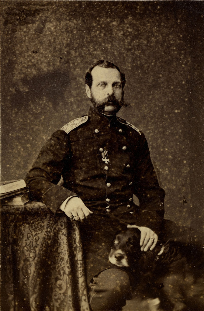 Detail of Portrait of Emperor Alexander II, 1873 by Anonymous