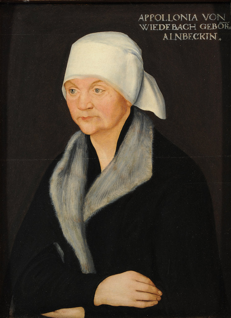 Detail of Portrait of Apollonia von Wiedebach, ca 1524 by Anonymous