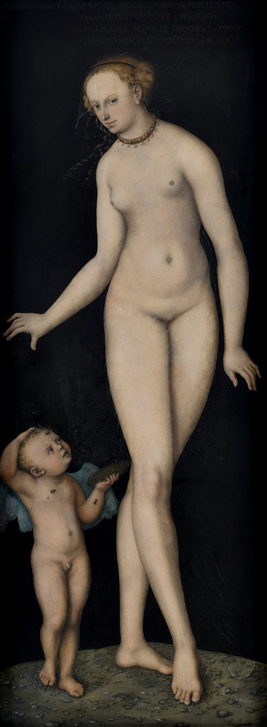 Detail of Venus with Cupid the Honey Thief, after 1537 by Anonymous