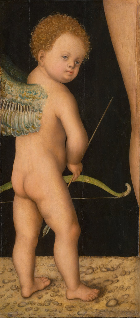 Detail of Amor, ca 1530 by Anonymous
