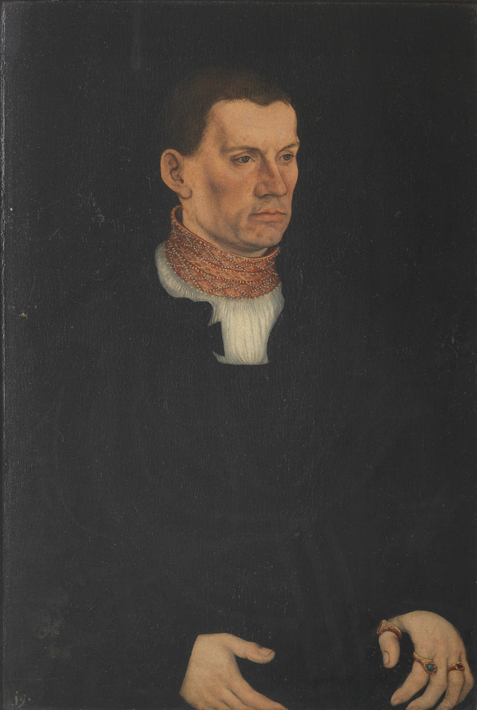 Detail of Portrait of the Lord of Schleinitz, 1526 by Anonymous