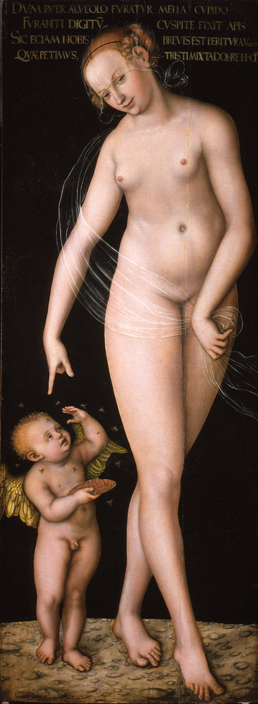 Detail of Venus with Cupid the Honey Thief, after 1537 by Anonymous