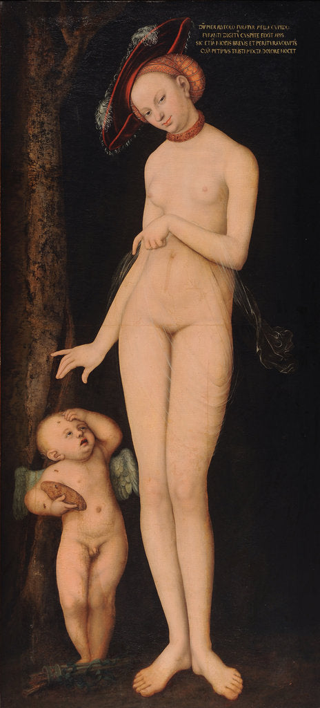 Detail of Venus with Cupid the Honey Thief, 1531 by Anonymous