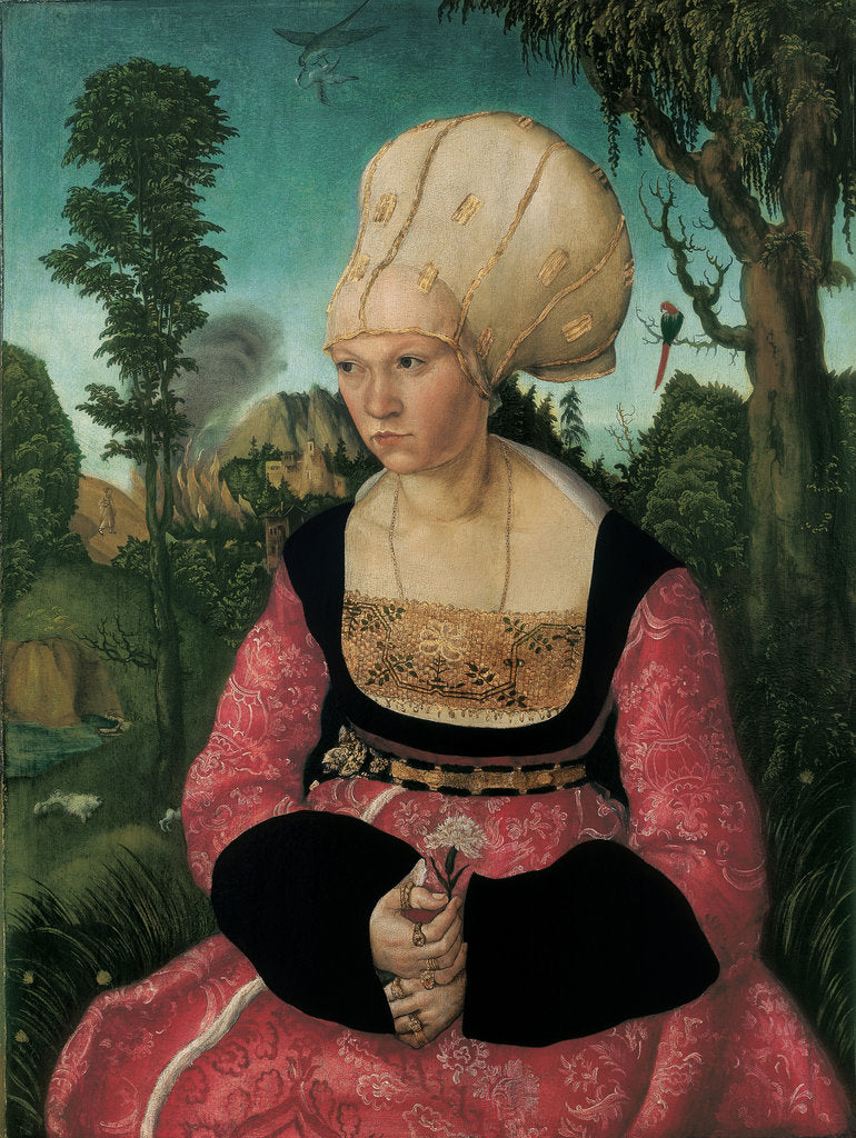 Detail of Portrait of Anna Cuspinian, 1502 by Anonymous