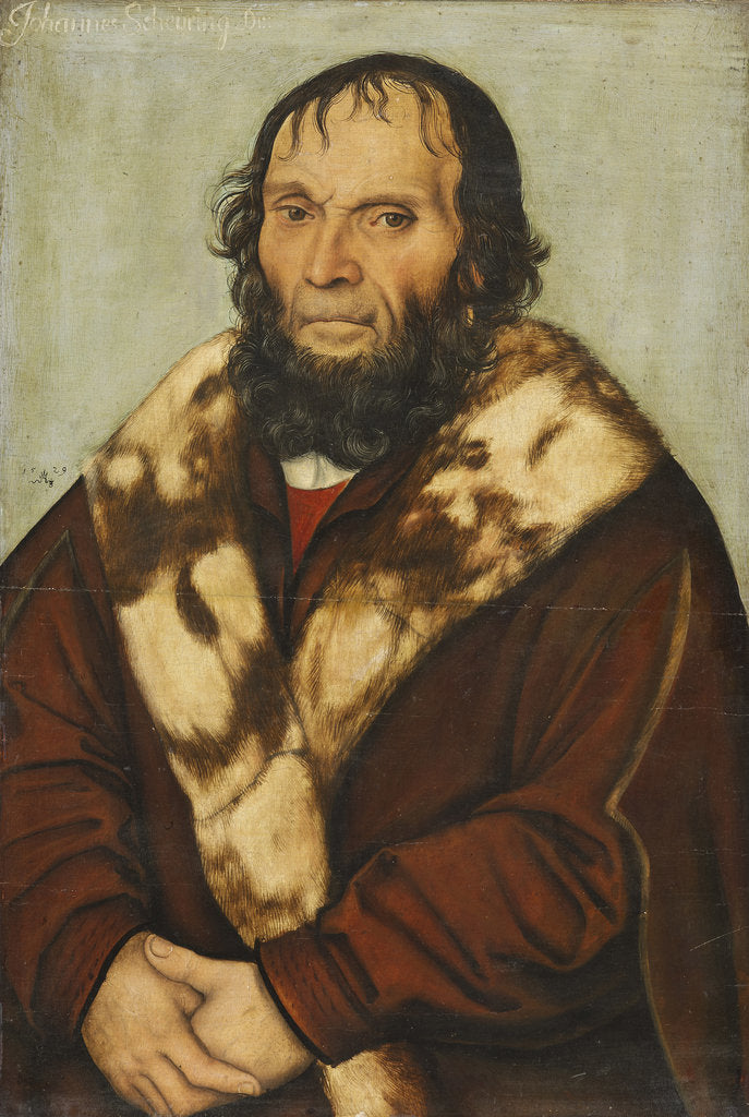 Detail of Portrait of Johannes Scheyring, 1529 by Anonymous