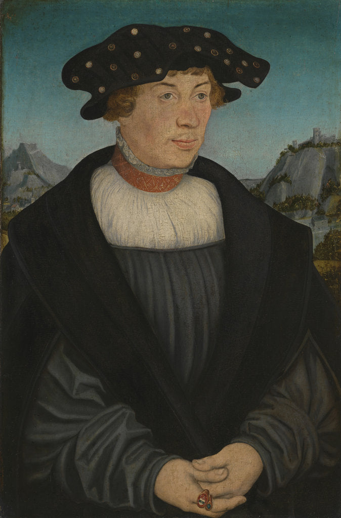 Detail of Portrait of Hans Melber, 1526 by Anonymous