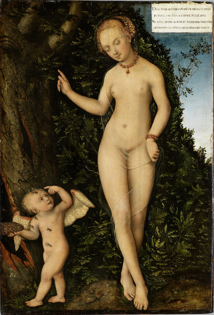 Detail of Venus with Cupid the Honey Thief, ca 1537 by Anonymous