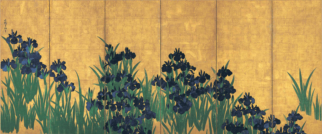 Detail of Irises, 18th century by Anonymous