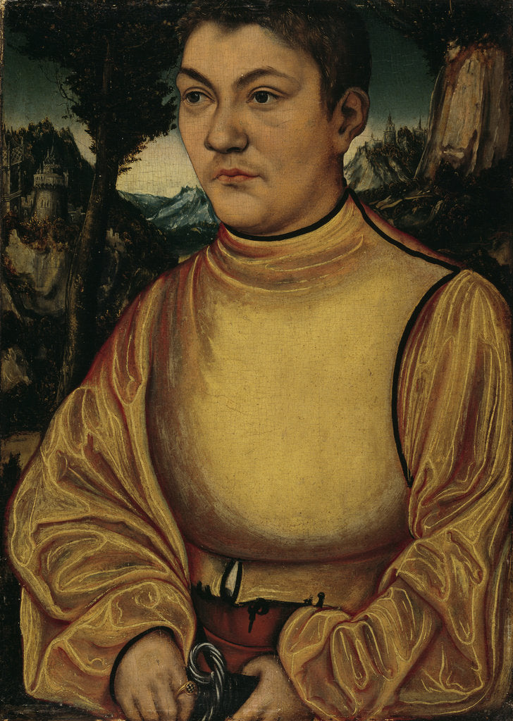 Detail of Portrait of a Prince of Anhalt (Portrait of Prince John IV of Anhalt-Zerbst, after 1513 by Anonymous