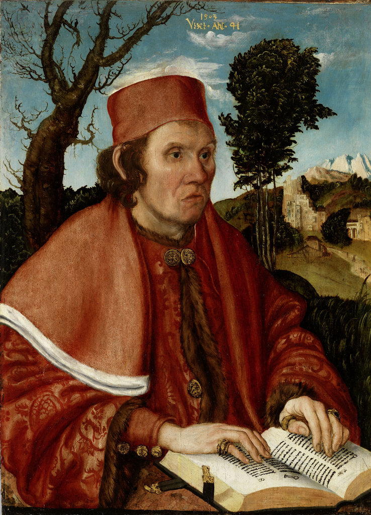 Detail of Portrait of a Jurist (Dr. Johann Stephan Reuss (?), 1503 by Anonymous