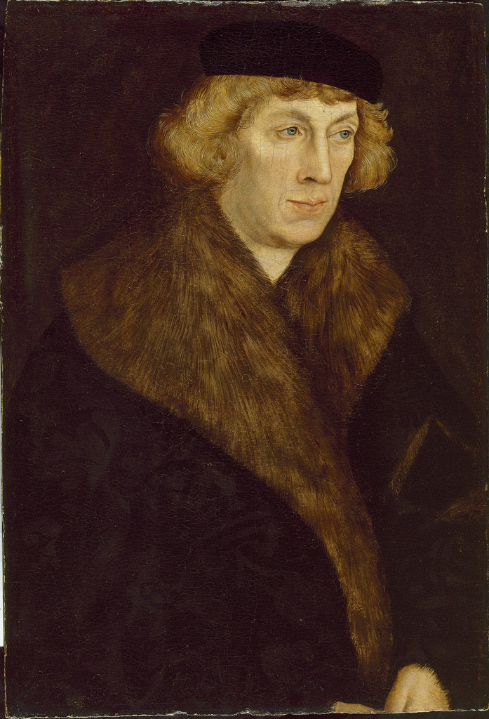 Detail of Portrait of Count Palatine Philipp of the Rhein, ca 1522 by Anonymous