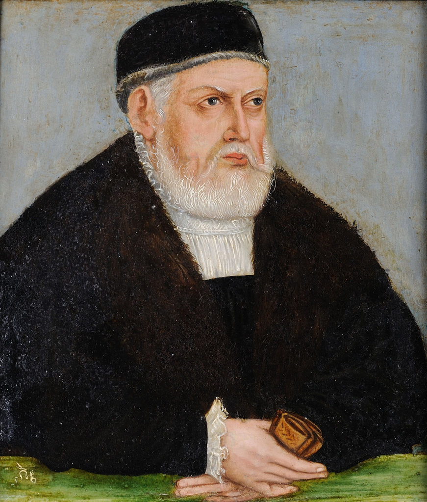 Detail of Portrait of Sigismund I of Poland, c. 1565 by Anonymous
