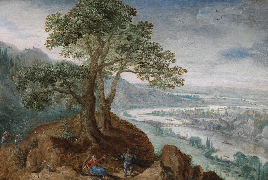 Detail of View of Linz, 1590s by Anonymous