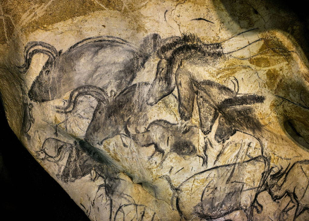 Detail of Painting in the Chauvet cave, 32,000-30,000 BC by Anonymous