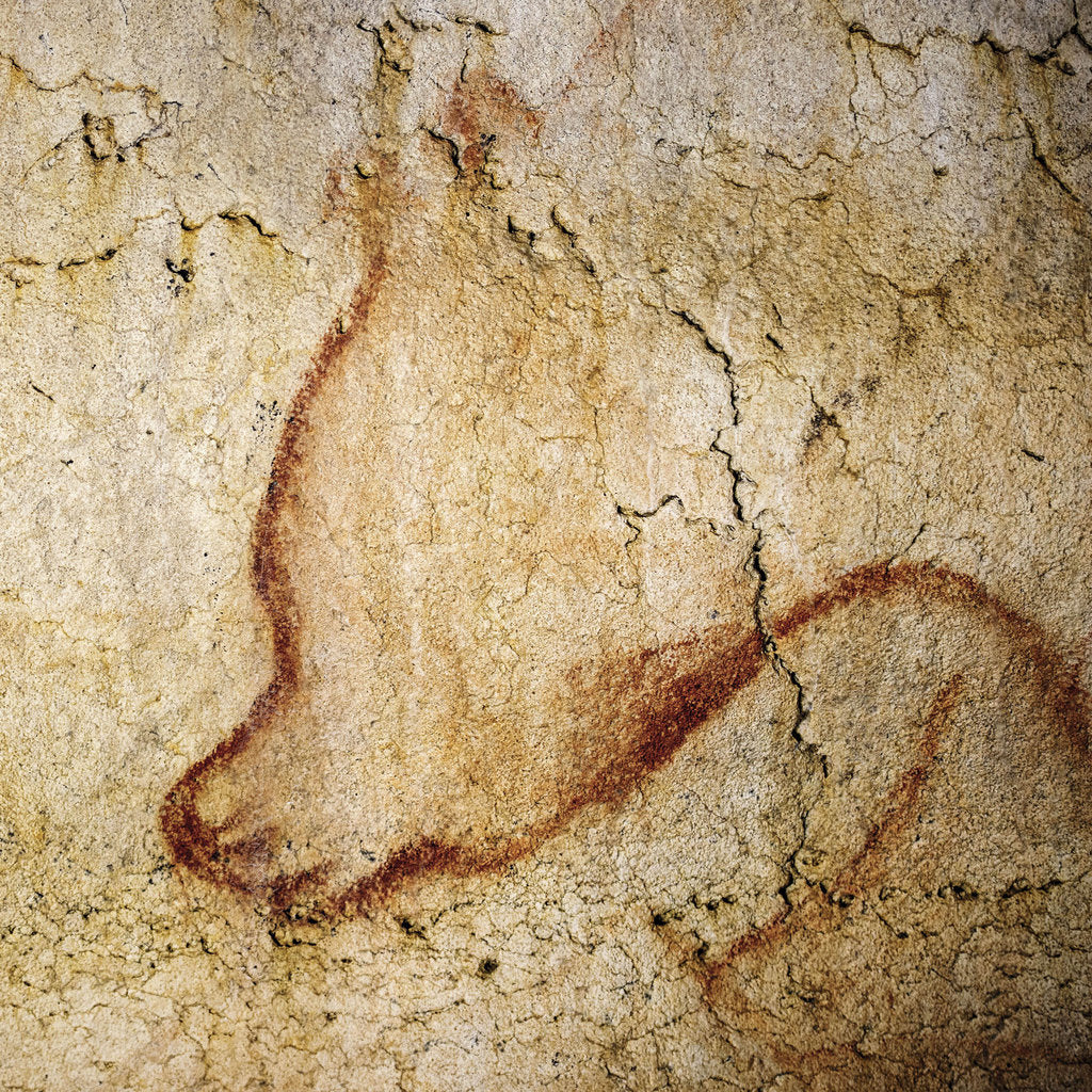 Detail of Painting in the Chauvet cave, 32,000-30,000 BC by Anonymous