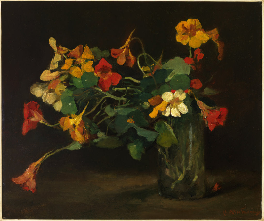 Detail of Still Life with Nasturtiums by Anonymous