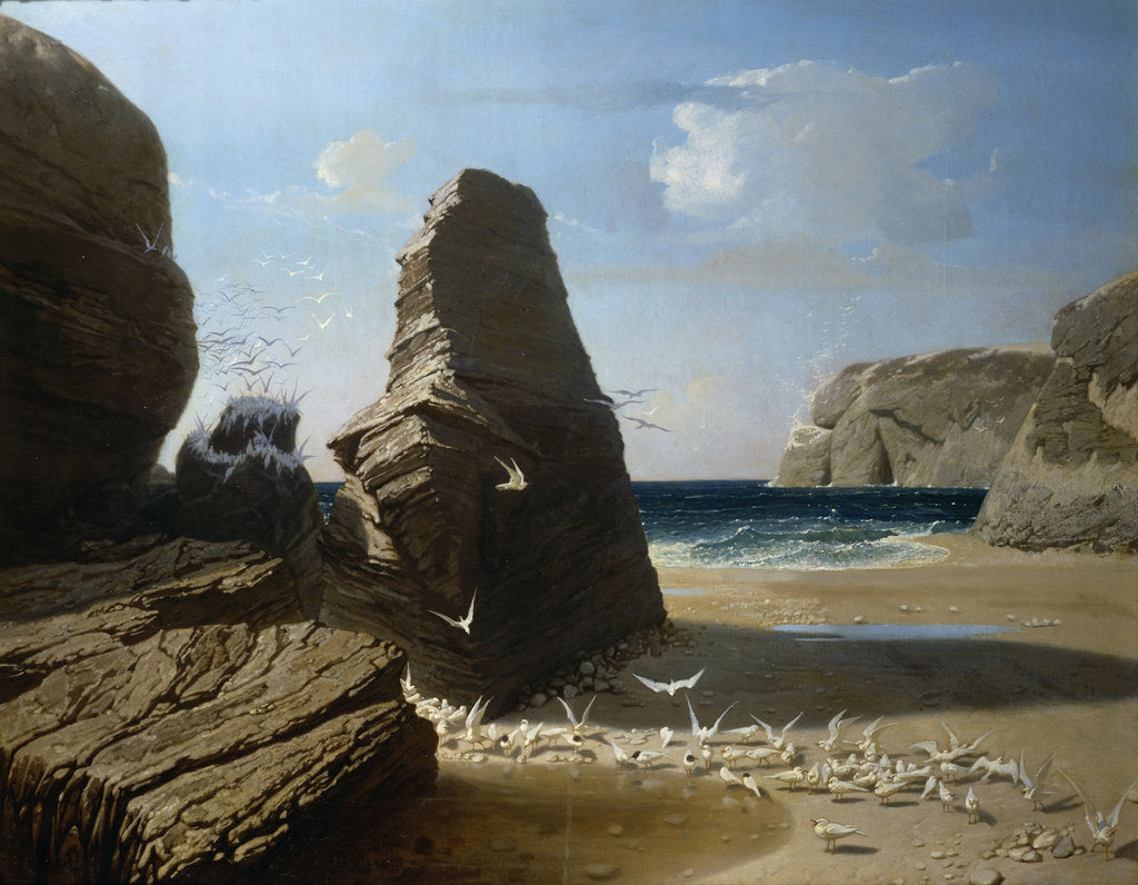 Detail of The Little Seagulls, 1858 by Anonymous