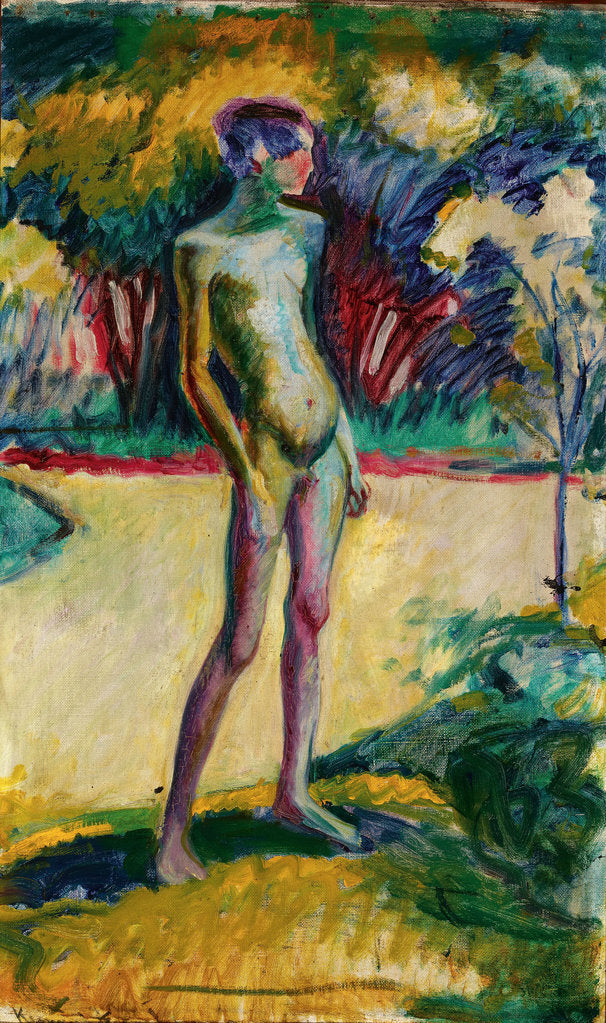 Detail of Nude Boy in the garden of Nyerges, c. 1909 by Anonymous