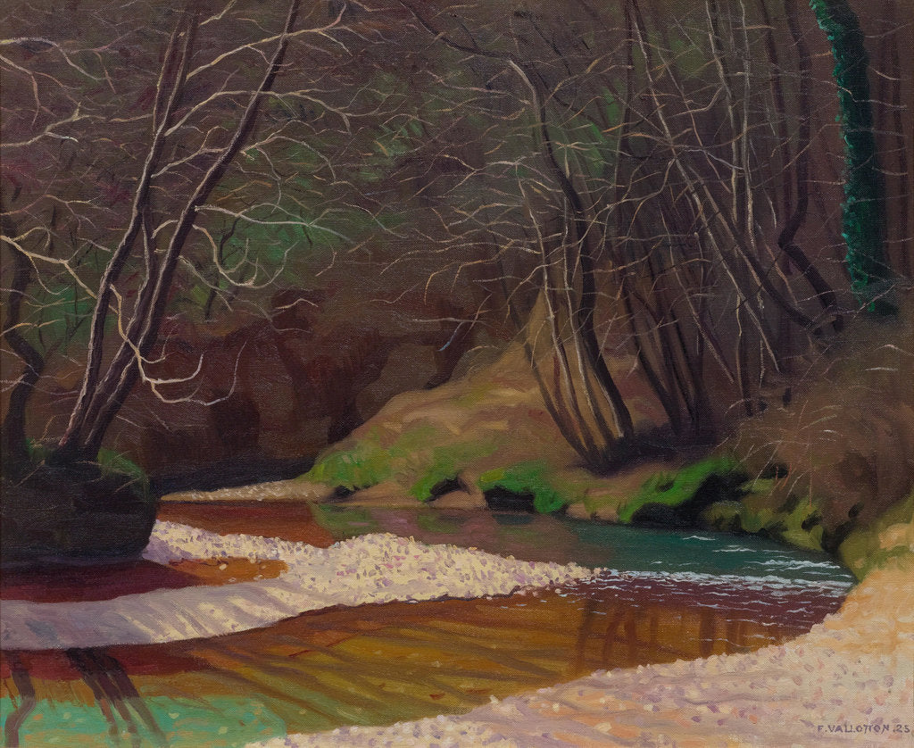 Detail of Ruisseau rouille et galets blancs, 1921 by Anonymous