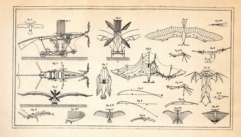 Detail of Ader Éole, 1890s by Anonymous