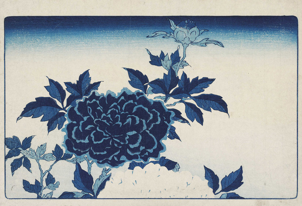 Detail of Aizuri-e with flowers, by Anonymous
