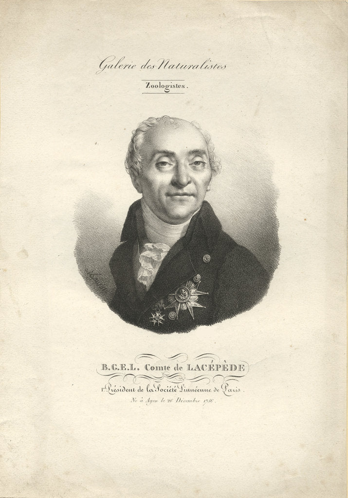Detail of Bernard-Germain-Etienne de la Ville-sur-Illon, comte de Lacépède, 1842 by Anonymous
