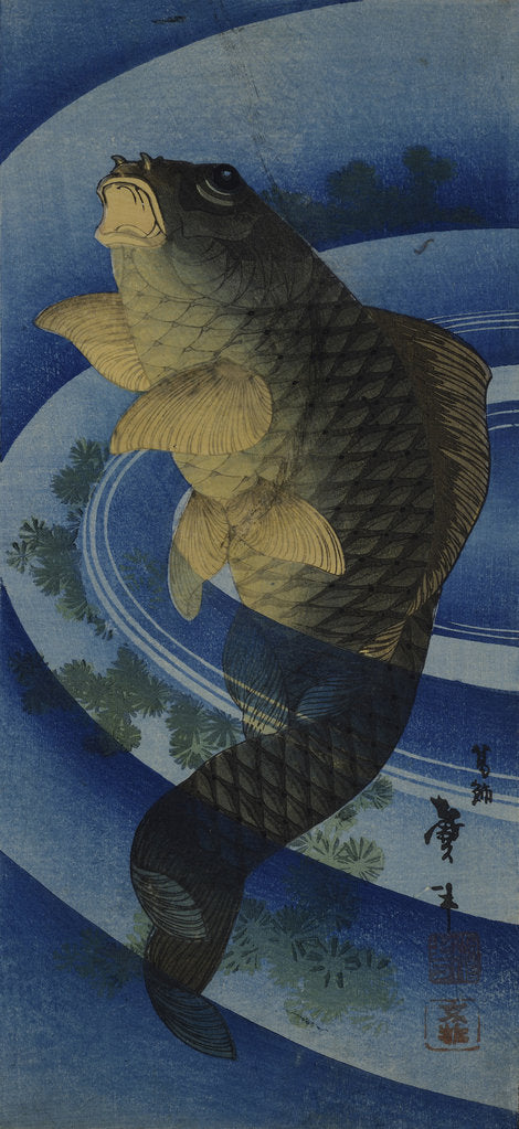 Detail of Carp (Koi), c. 1830-1840 by Anonymous