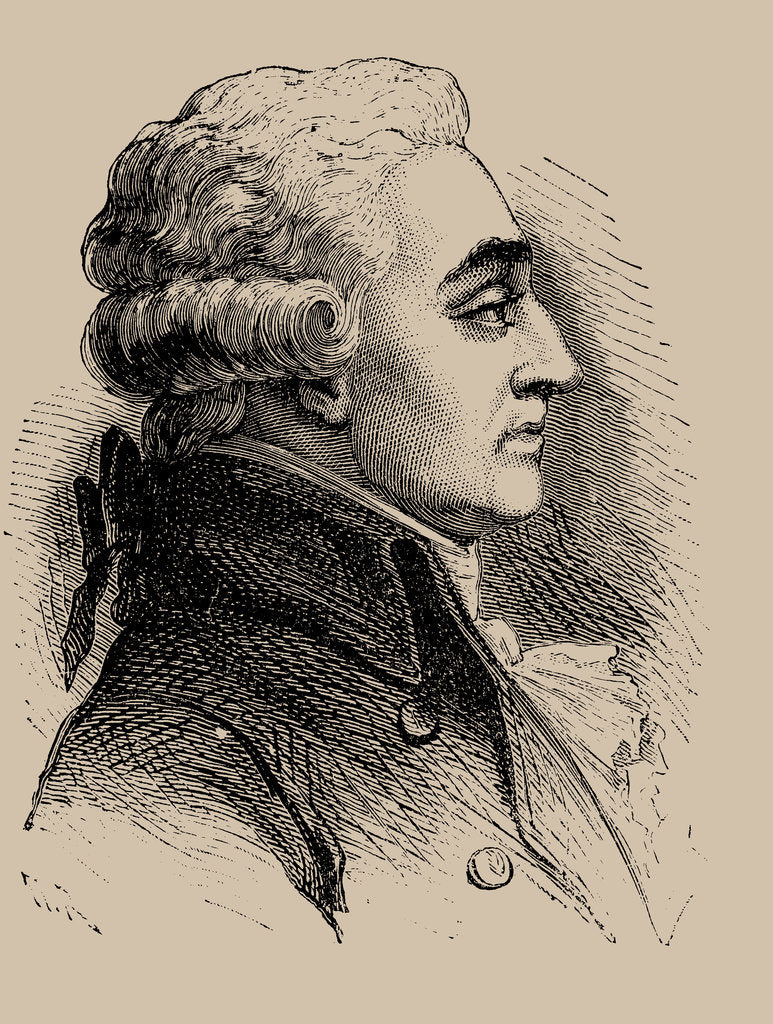Detail of Comte Raymond de Sèze, 1889 by Anonymous