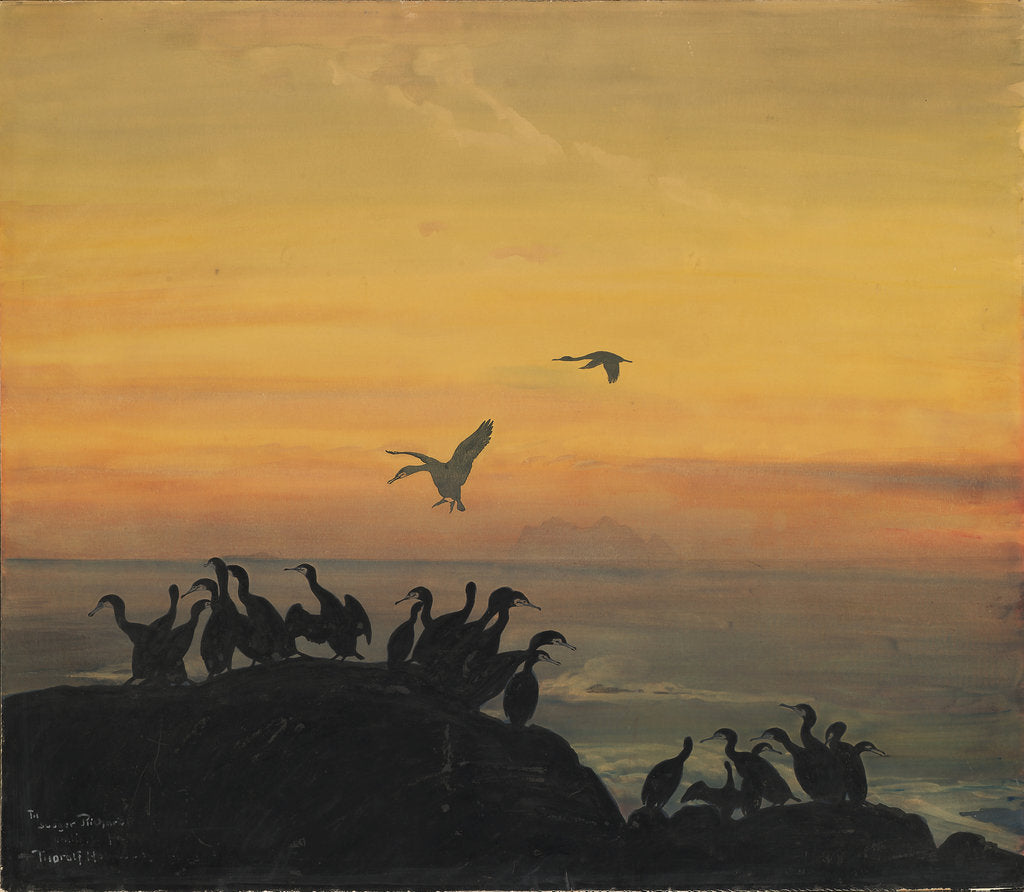 Detail of Cormorants by sunset, by Anonymous