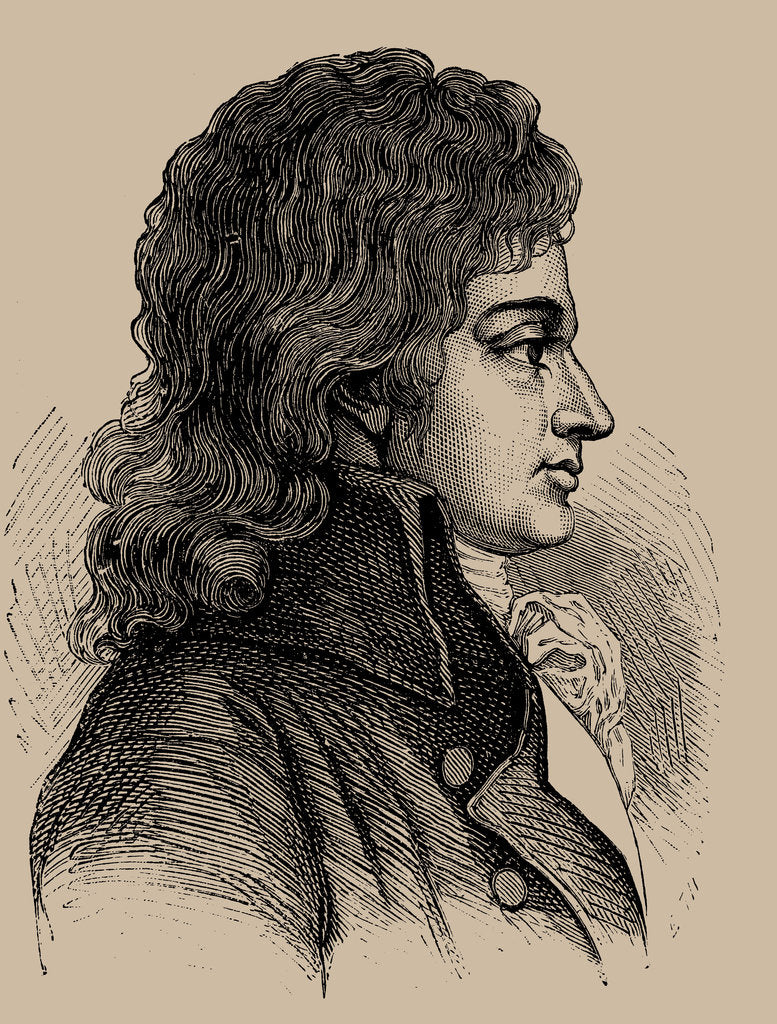 Detail of François-Antoine de Boissy dAnglas, 1889 by Anonymous