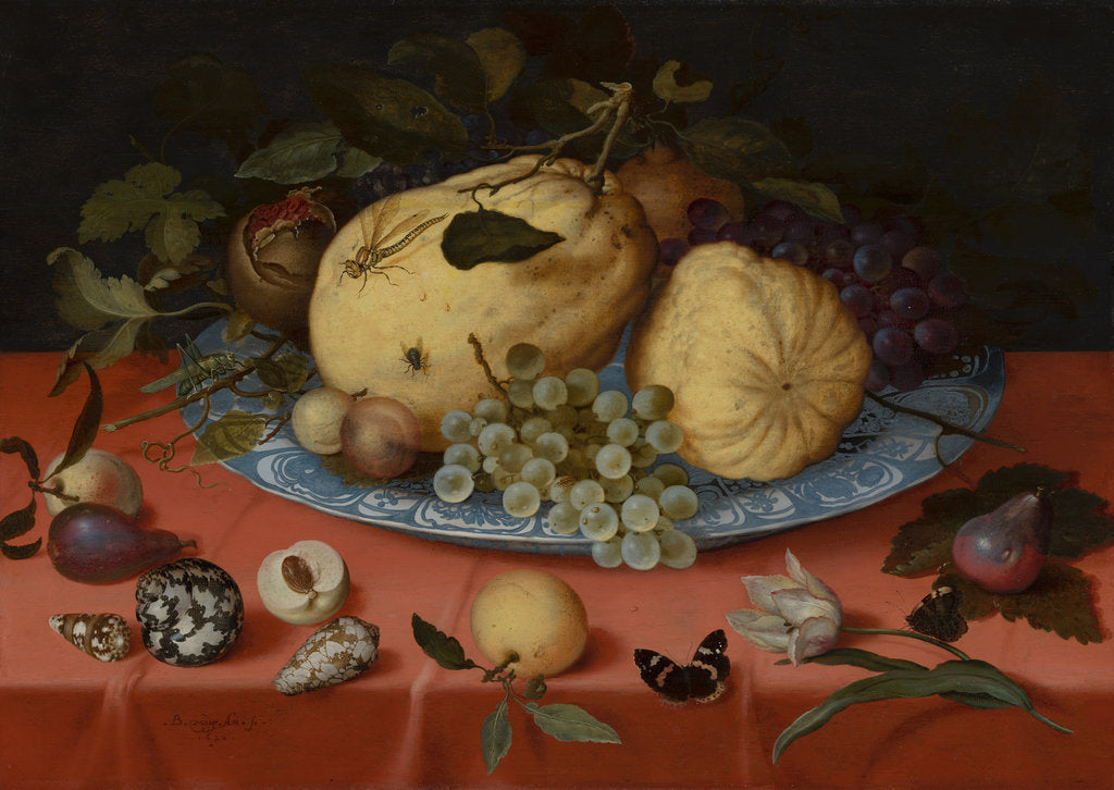 Detail of Fruit Still Life with Shells and Tulip, 1620 by Anonymous