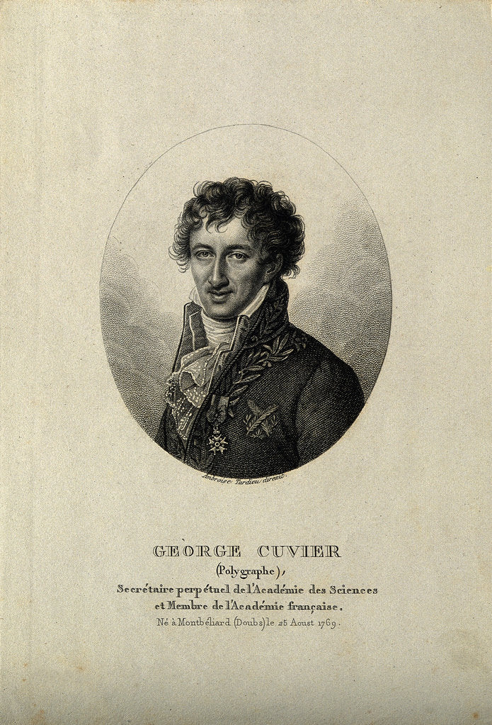 Detail of Georges Léopold Chrétien Frédéric Dagobert, Baron de Cuvier, by Anonymous