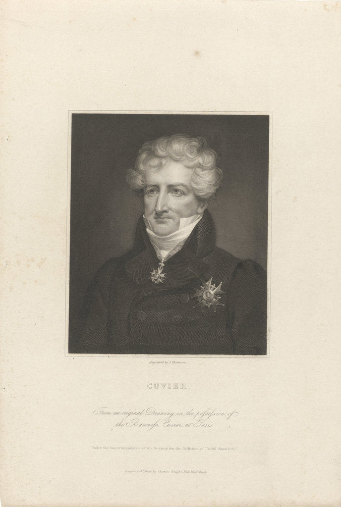 Detail of Georges Léopold Chrétien Frédéric Dagobert, Baron de Cuvier, by Anonymous