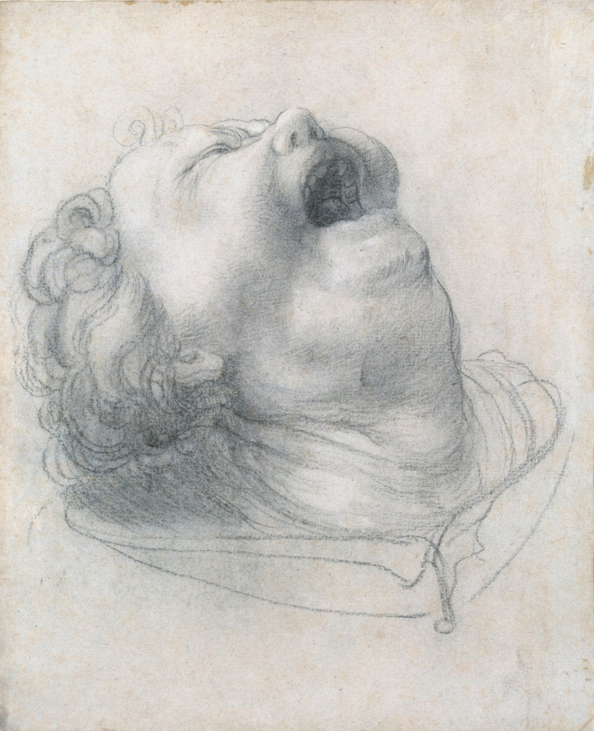 Detail of Head of a screaming child, ca 1515-1520 by Anonymous