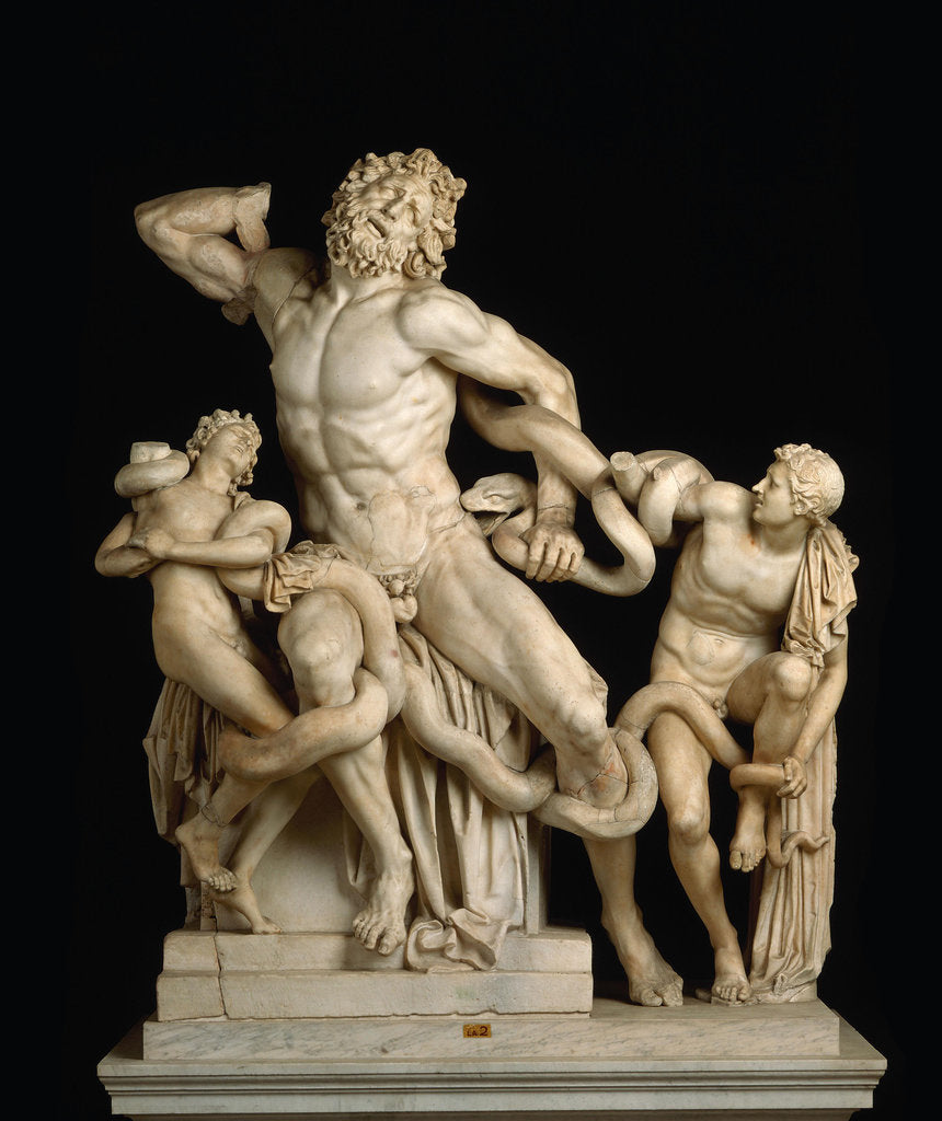 Detail of Laocoön and his sons (The Laocoön Group), 1st century BC by Anonymous
