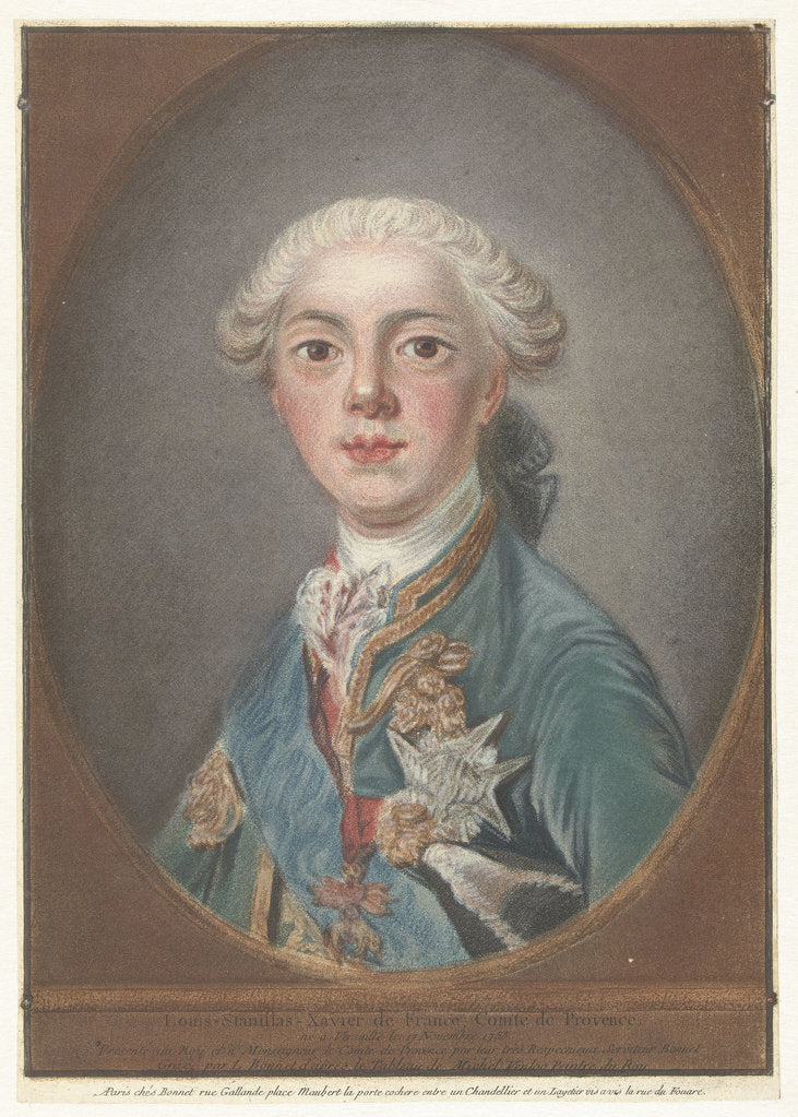 Detail of Louis Stanislas Xavier, Count of Provence, 1772 by Anonymous