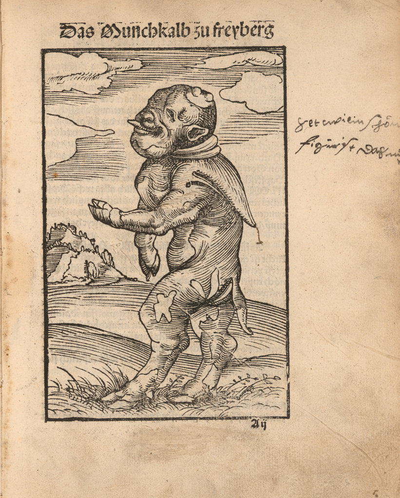 Detail of Monk Calf of Freiberg (Das Mönchskalb zu Freiberg), 1523 by Anonymous