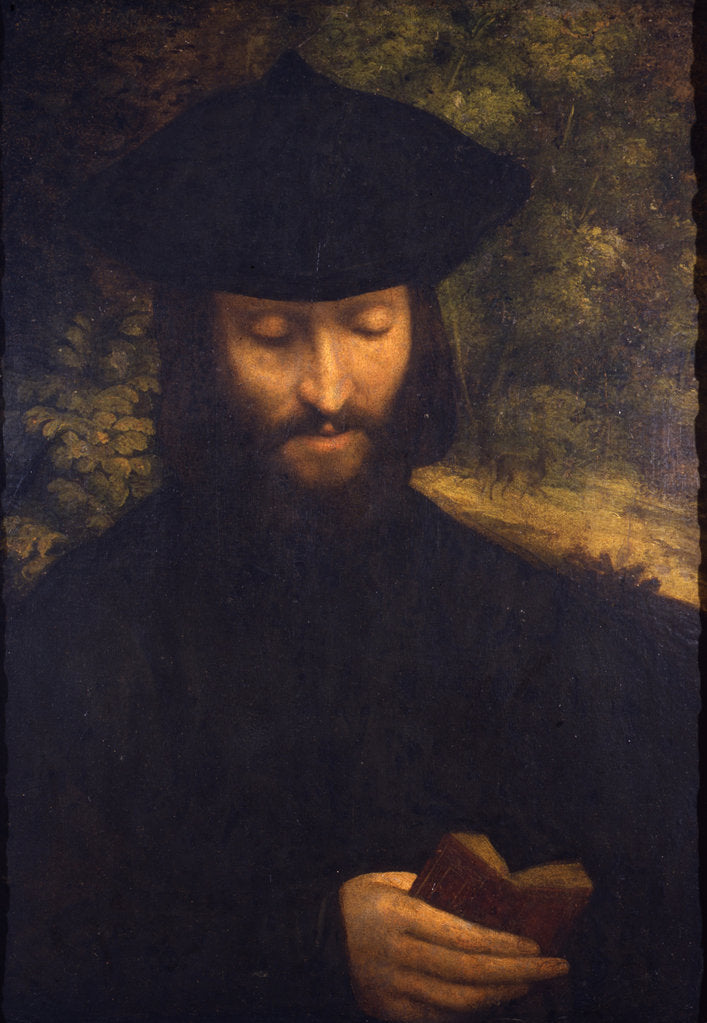Detail of Portrait of a reading man, ca 1522 by Anonymous