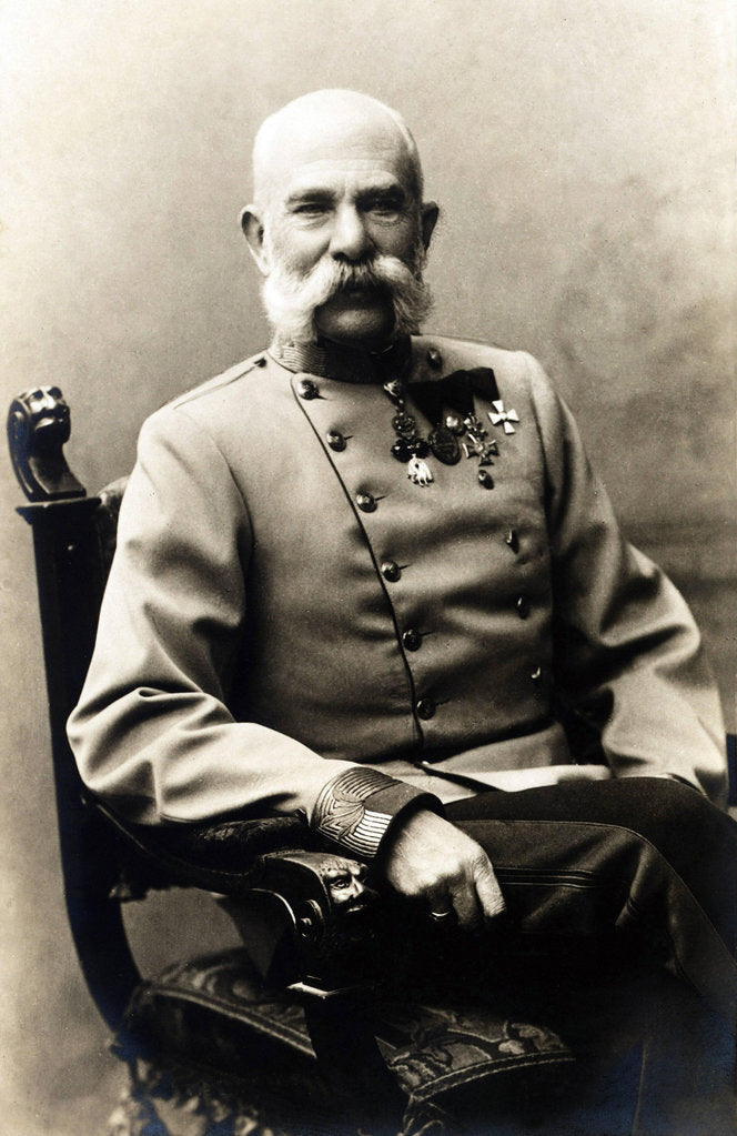 Detail of Portrait of Franz Joseph I of Austria, 1900s by Anonymous