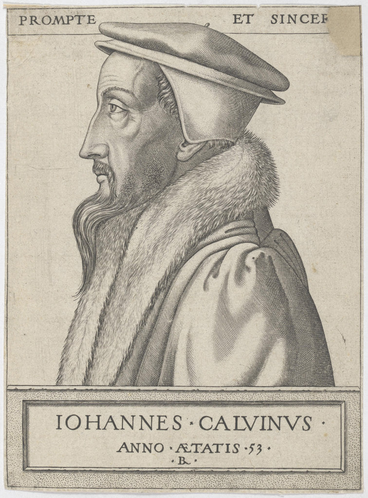 Detail of Portrait of John Calvin, 1562 by Anonymous