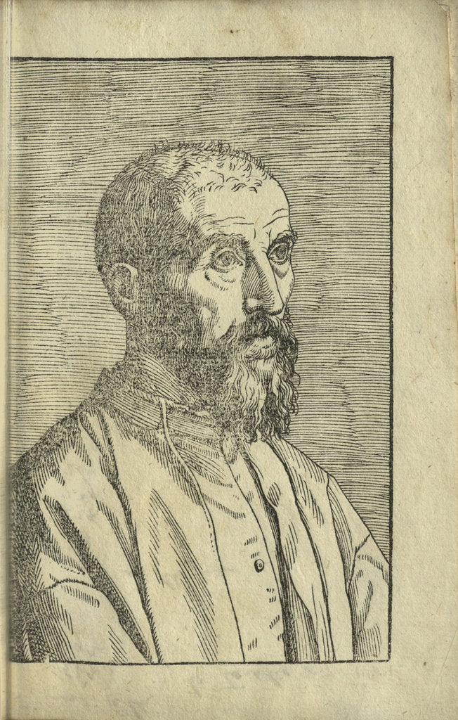 Detail of Portrait of Marco Mantova Benavides, 1555 by Anonymous