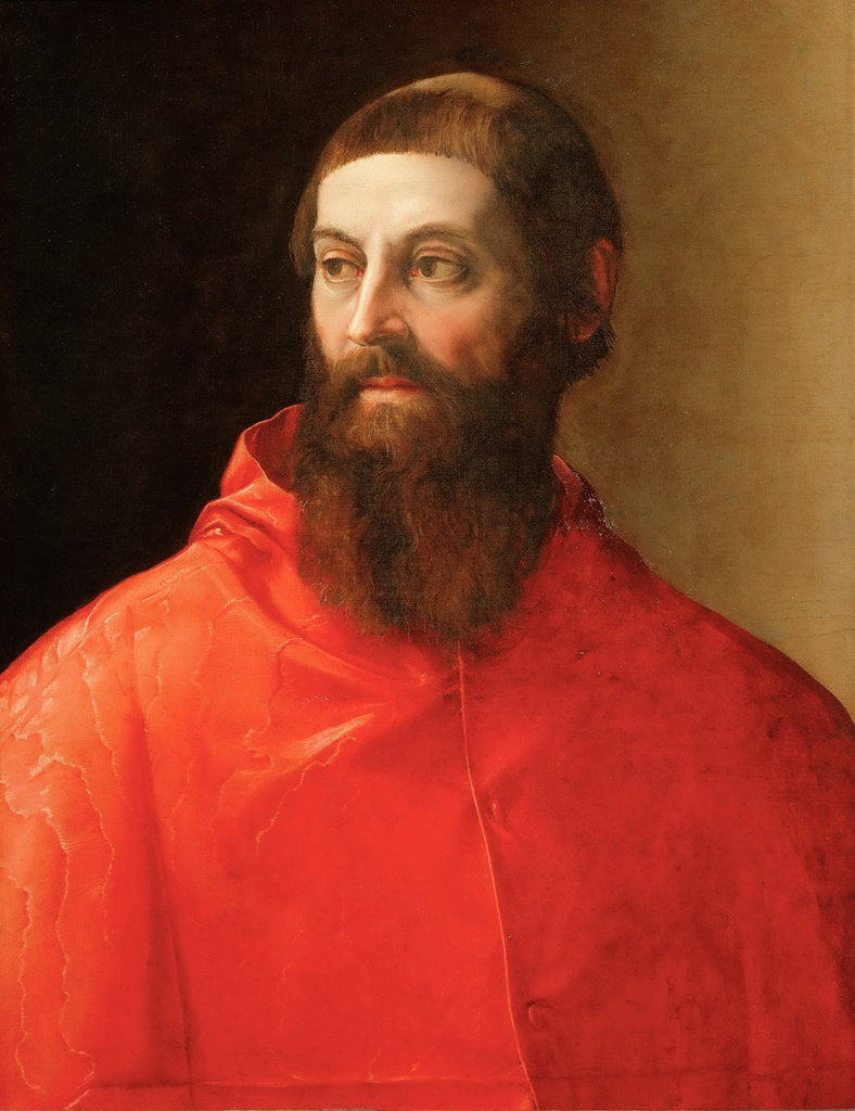 Detail of Portrait of the Cardinal Rodolfo Pio, ca 1545 by Anonymous